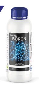 GOLD WAY BORON