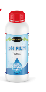 GOLD WAY PH- FİLM